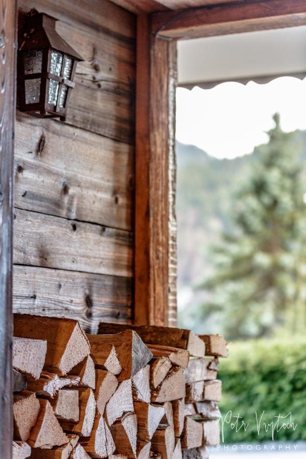 Chalet Camomille Les Gets Exterior photo